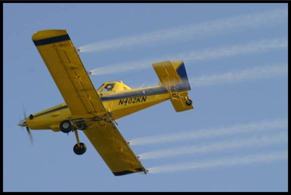 GMYellowPlane
